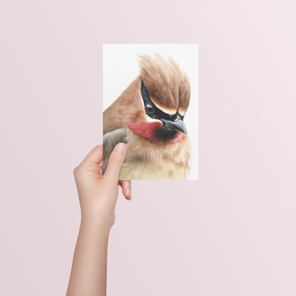Watercolor Cedar Waxwing Bird Portrait Wall Art Print, Unframed - Vibrant Nature - Picture 5 of 7